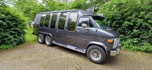 Kleine grijze rouwbus - foto 1