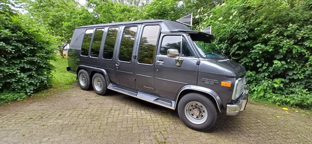 Kleine grijze rouwbus