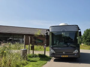 Grote grijze rouwbus - foto 3