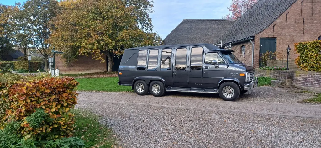 Kleine grijze rouwbus - foto 4