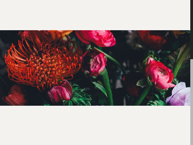 Screenshot De iris Uitvaartzorg